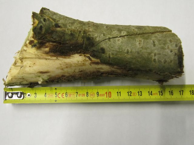 Špalíkovač Pirana Longa el.motor 4 kW- sleva 5%